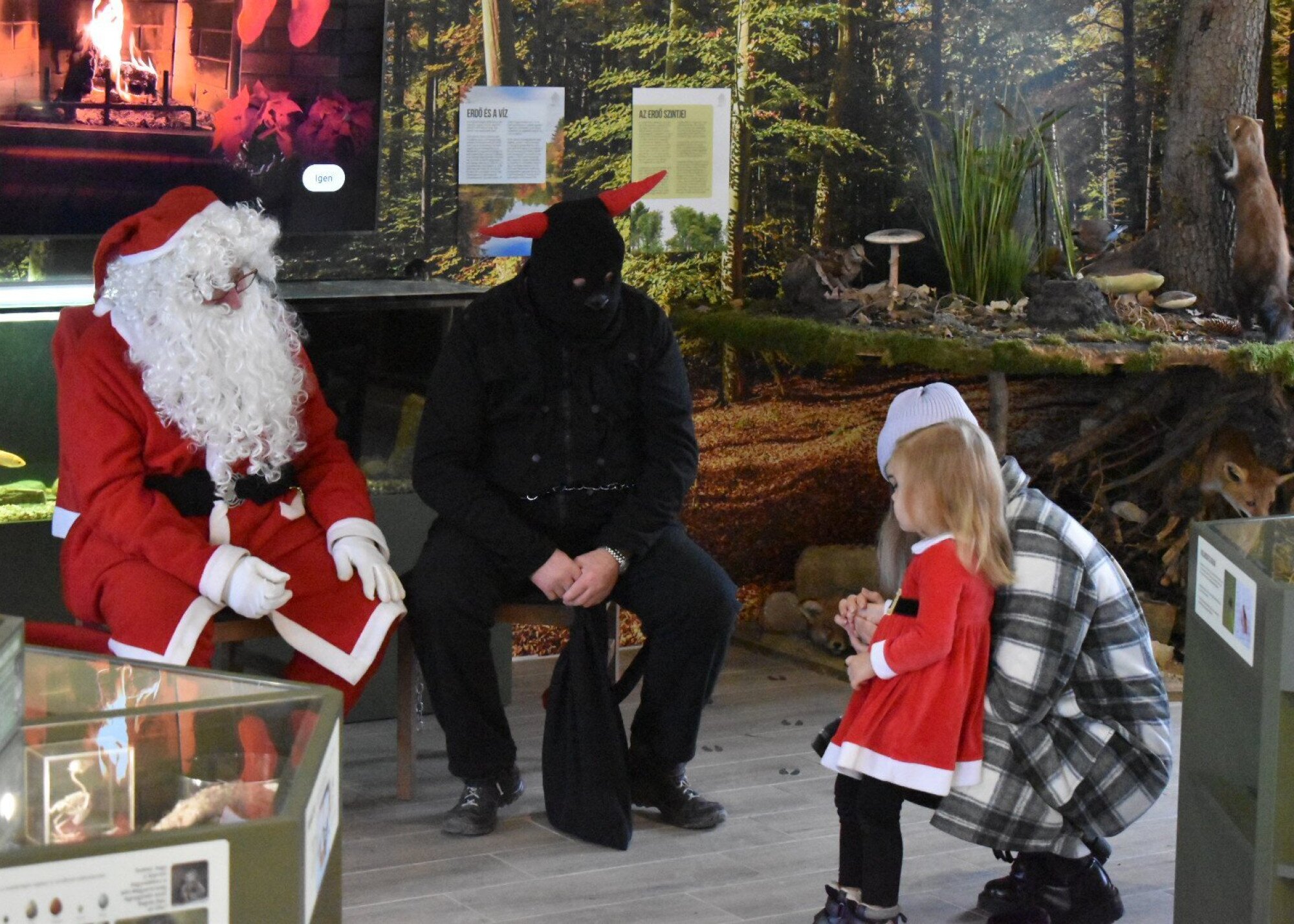 Mikulás az Erdő Házában - programajánló