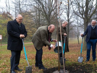 TAEG EMLEKERDO (1 of 1)-49(1)