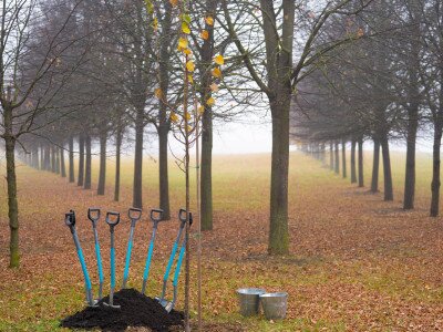 TAEG EMLEKERDO (1 of 1)-7