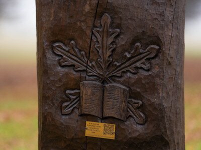 TAEG EMLEKERDO (1 of 1)-3