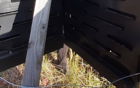 Naprakész adatokat biztosítanak a szúcsapdák