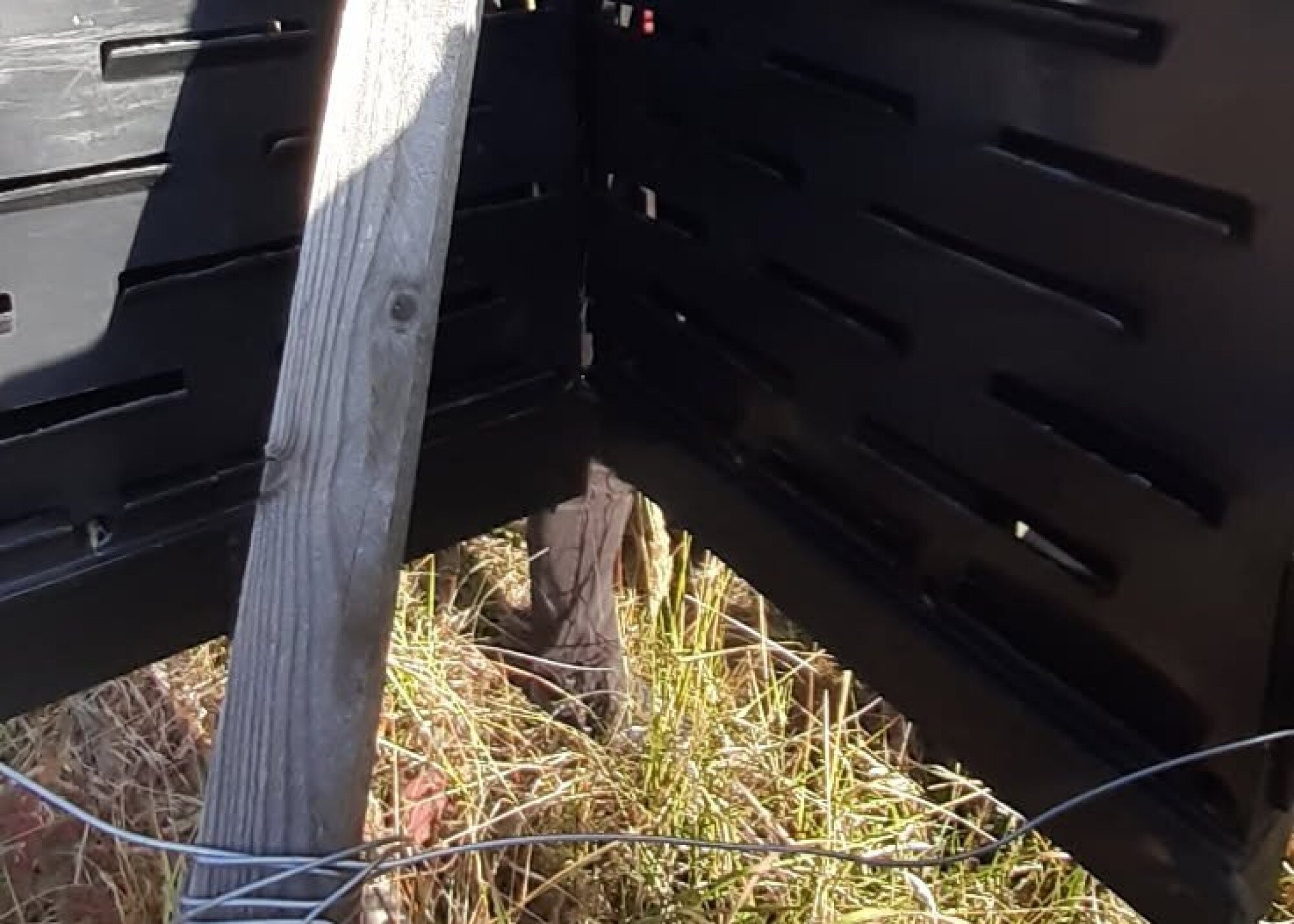 Naprakész adatokat biztosítanak a szúcsapdák