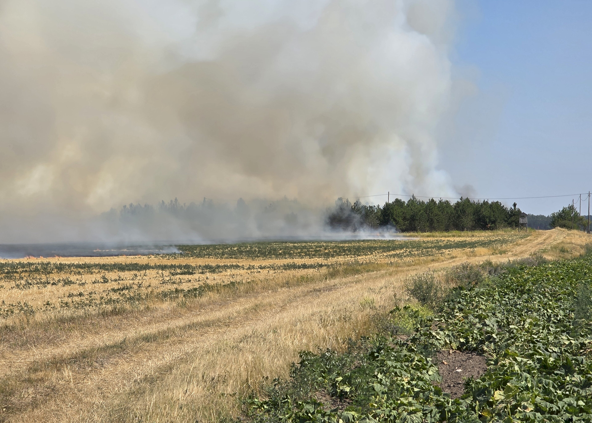 Negyven hektáron pusztított a tűz Piuszpuszta közelében – a TAEG Zrt. munkatársai is segítették az oltást