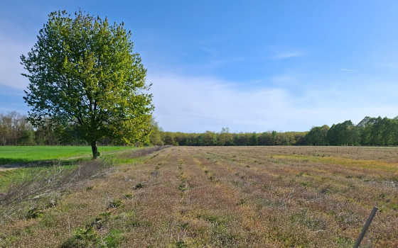 Oktatási együttműködés az agrárerdészet fejlesztéséért