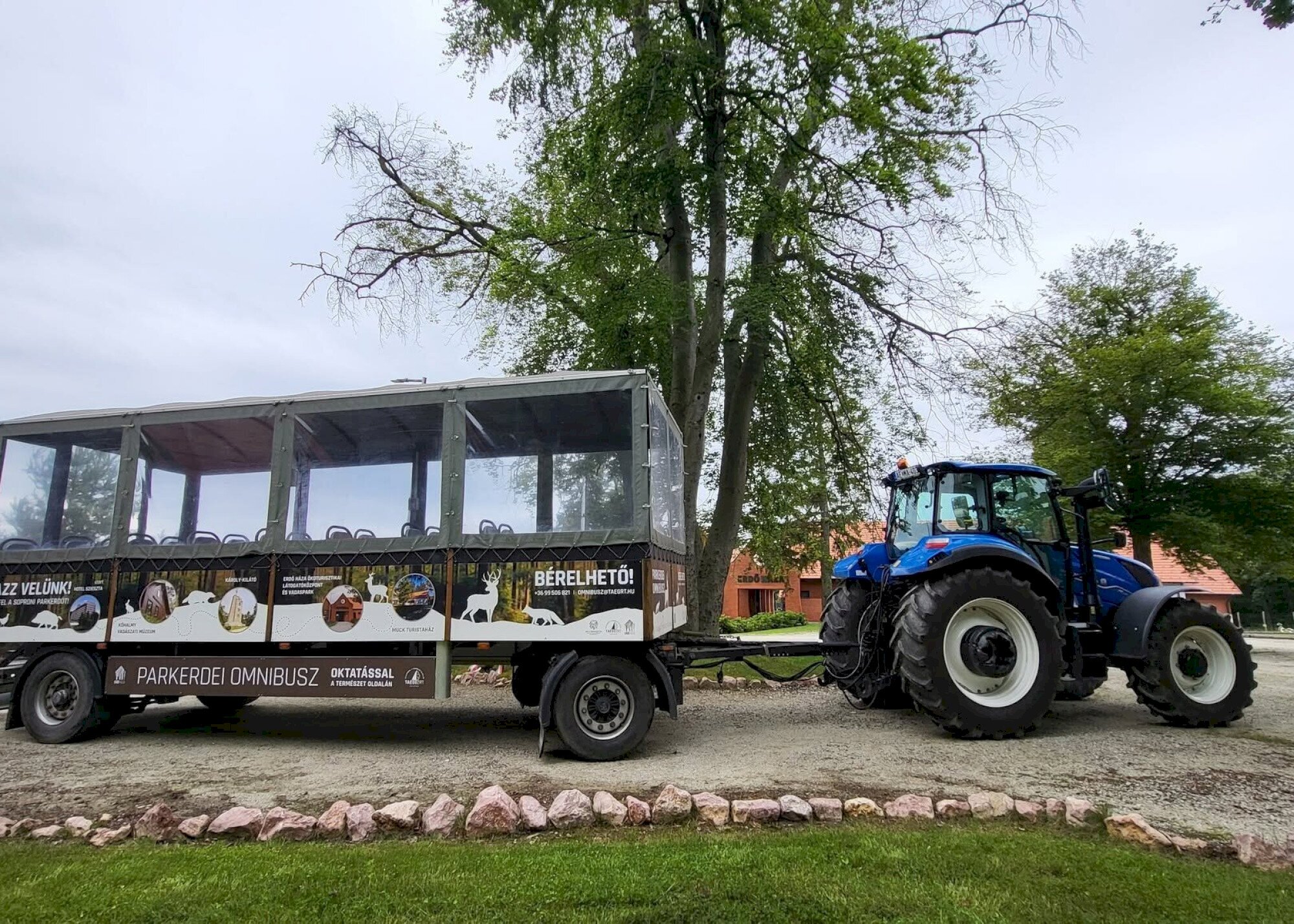 Omnibuszos szarvasbőgés-hallgató túrák indulnak