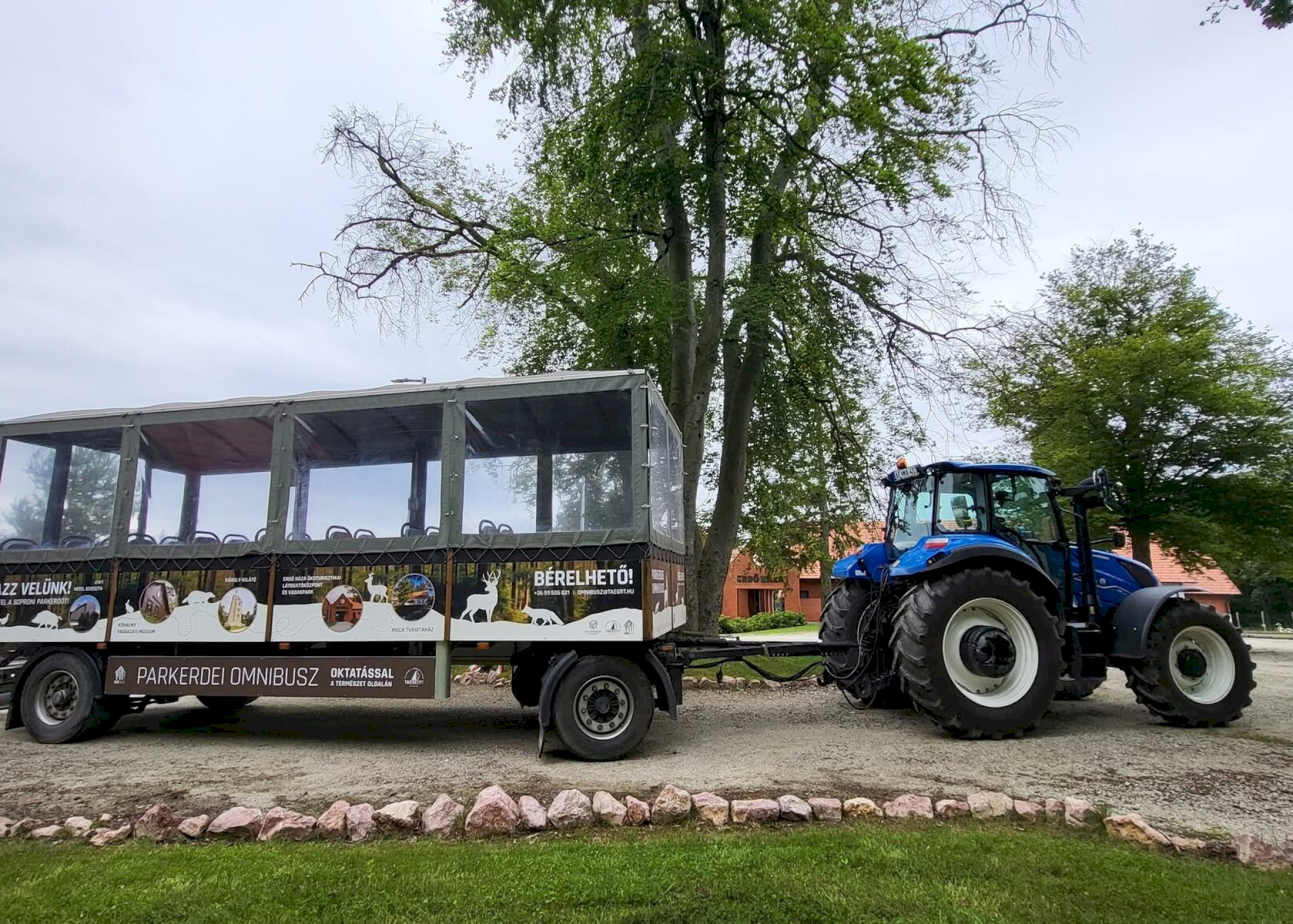 Omnibuszos szarvasbőgés-hallgató túrák indulnak