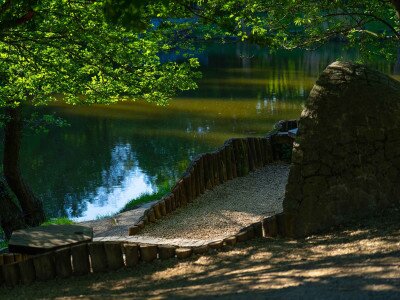 TACSI (1 of 1)-16_7_11zon