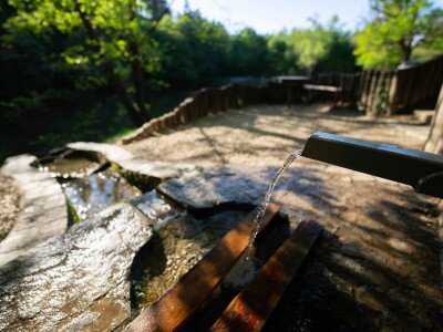 TACSI (1 of 1)-7_3_11zon