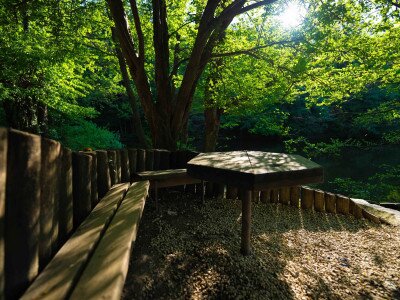 TACSI (1 of 1)-8_4_11zon