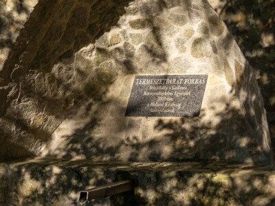 TACSI (1 of 1)-10_5_11zon