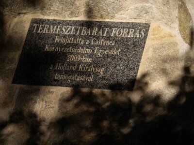 TACSI (1 of 1)-12_6_11zon