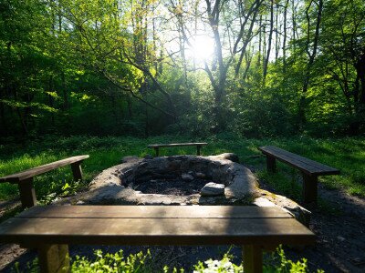 TACSI (1 of 1)-25_11_11zon