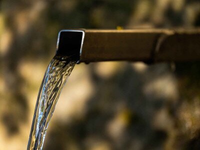 TACSI (1 of 1)_1_11zon