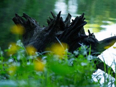 TACSI (1 of 1)-22_9_11zon