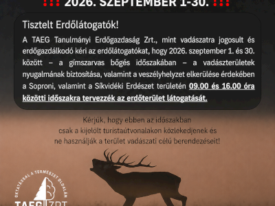 Szarvasbőgés 2026 TAEG