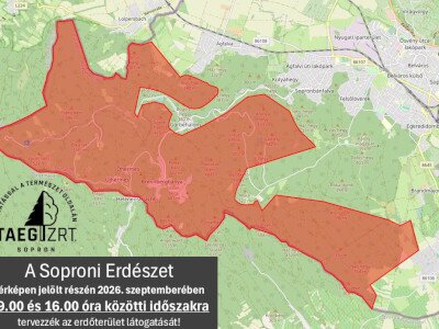 Soproni Erdészet terület2026