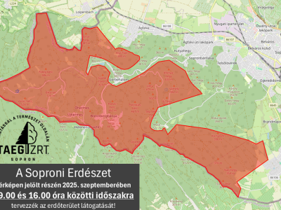 Soproni Erdészet terület