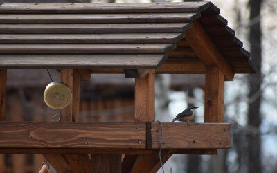 Téli szárnyak az ablakban - Programajánló