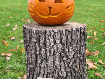 571238872_1129198512634526_6286022868612311713_n