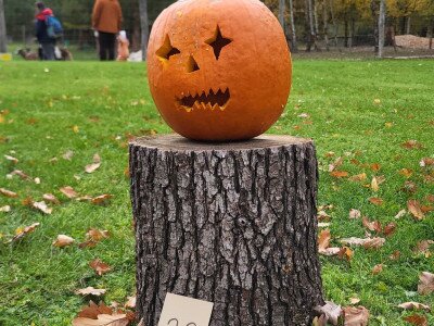 569872265_1129199572634420_4045566567095874123_n