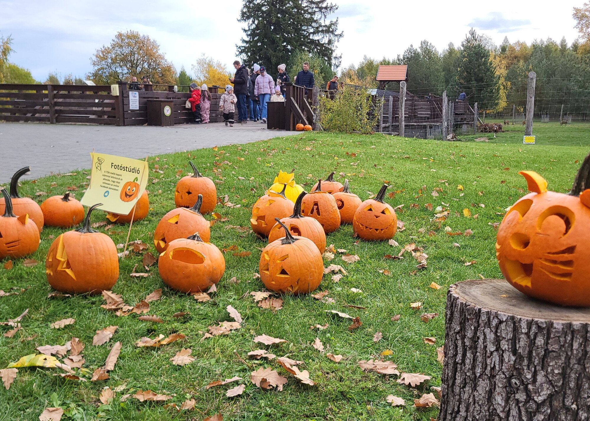 Tökfaragó családi nap volt az Erdő Házában