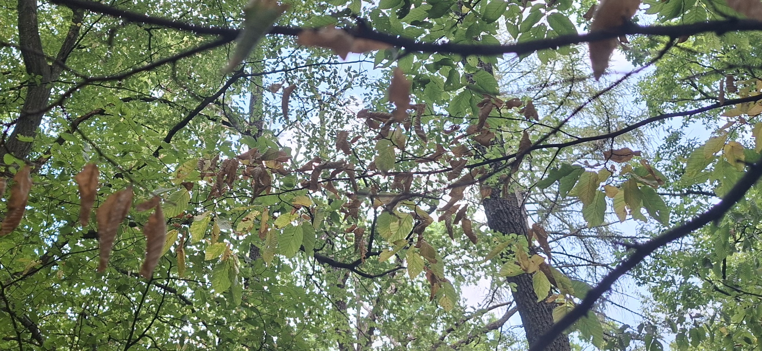 20260716_122155_jo.jpg